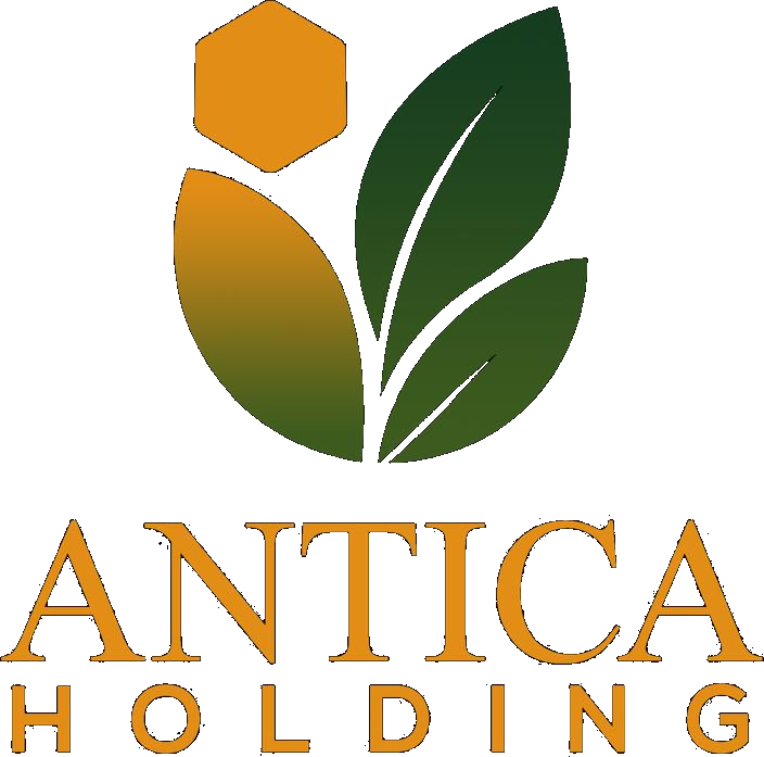 Antica Holding