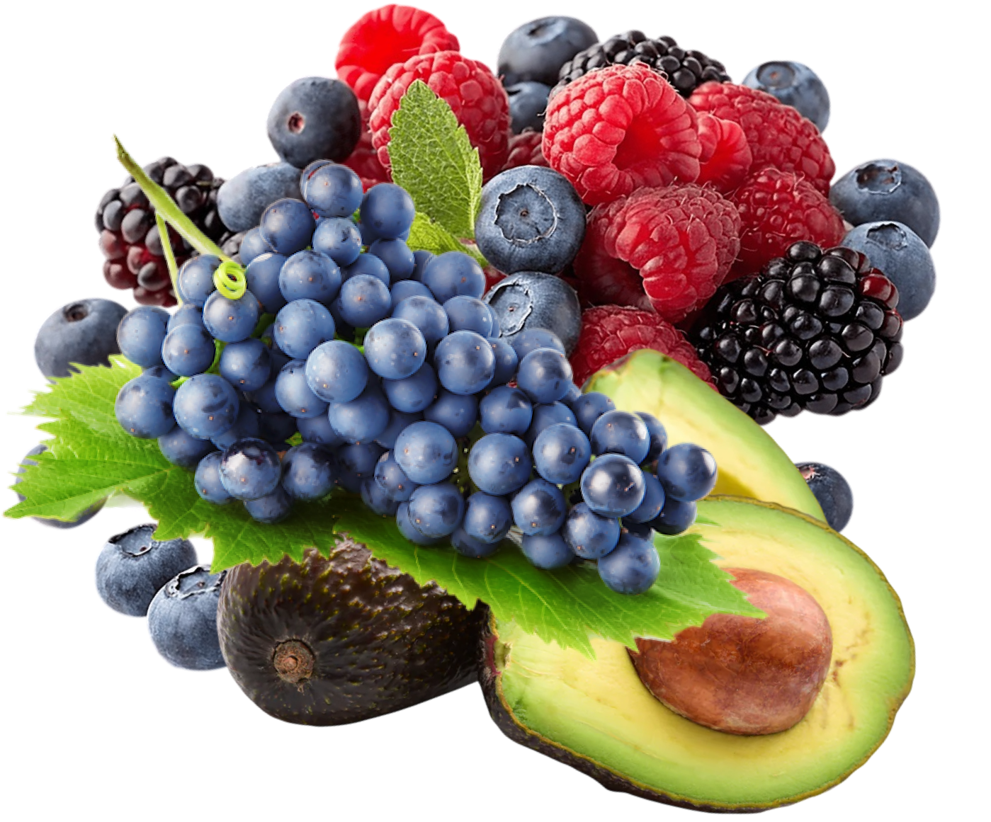 Fruits Premium